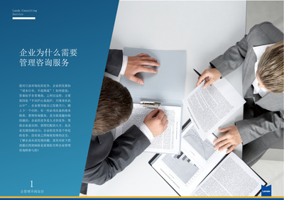 企業(yè)管理咨詢視覺形象設(shè)計 S6服務(wù)產(chǎn)品手冊的藝術(shù)呈現(xiàn)