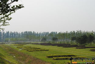 北京市2010年度園林綠化優質工程開評