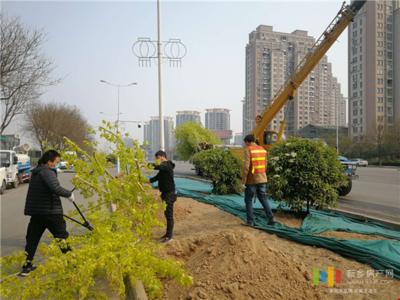 新鄉(xiāng)投資5845萬(wàn)元 對(duì)市區(qū)道路進(jìn)行綠化改造