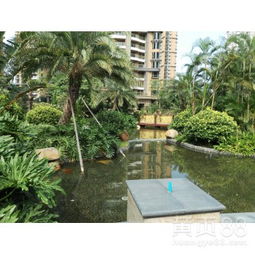 【工廠綠化養(yǎng)護(hù)、學(xué)校綠化養(yǎng)護(hù)、小區(qū)綠化養(yǎng)護(hù)修剪、園林綠化施工】-