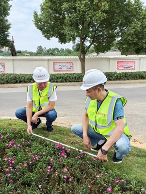管護中心綠化工程質(zhì)量安全服務站開展 質(zhì)量安全專項檢查