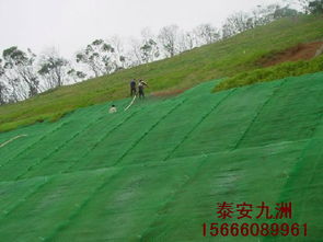云南三維植被網,邊坡植草綠化價格 廠家 圖片